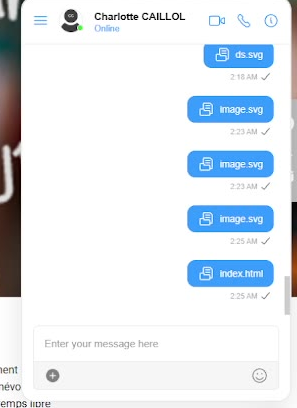 Payload files delivered through the CometChat messaging widget and stored on the platform